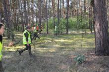 Przeszukiwania terenów leśnych w celu wykrywania zwłok padłych dzików.