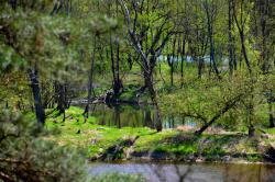 Fot&#x2e;&#x20;Katarzyna&#x20;Marciszonek